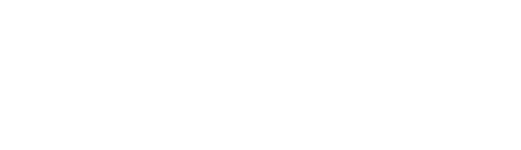Alana Jones Consulting
